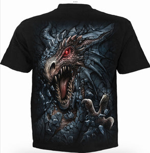 Spiral DRAGONS LAIR short sleeve t shirt