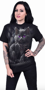 Spiral Direct Cattitude TShirt