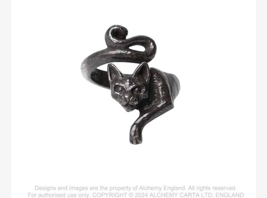 Alchemy Ring Le Chat Noir