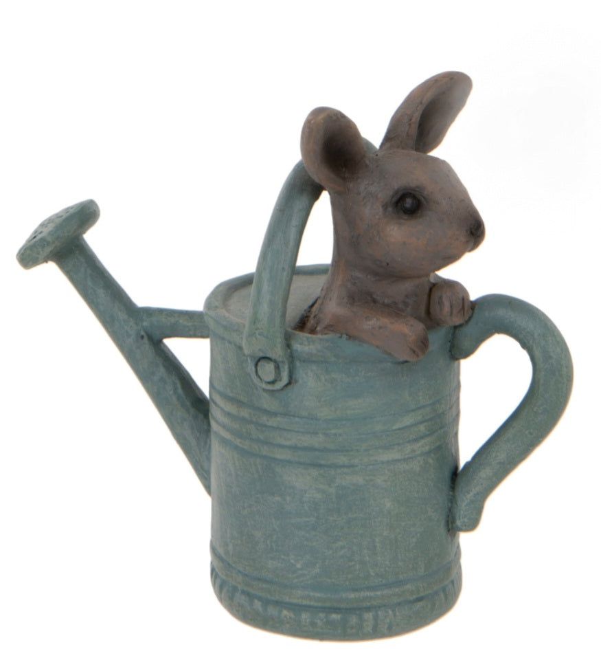 Bunny in Watering Can